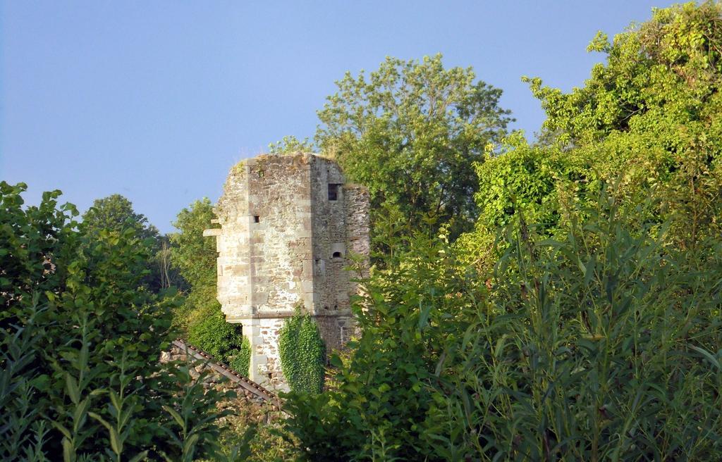 Chateau De La Chasse-Guerre Bed & Breakfast Hardanges Bagian luar foto