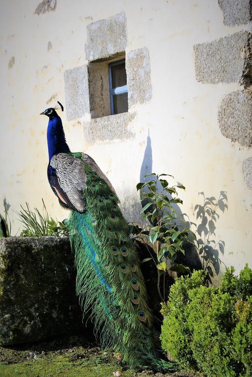 Chateau De La Chasse-Guerre Bed & Breakfast Hardanges Bagian luar foto