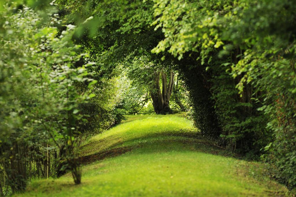 Chateau De La Chasse-Guerre Bed & Breakfast Hardanges Bagian luar foto